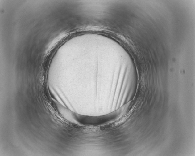 X0000086971406200705141639