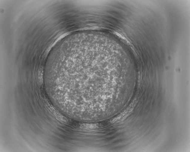 X0000086971409200705141639