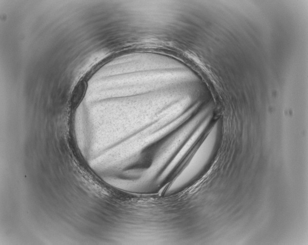 X0000086971410200705141639