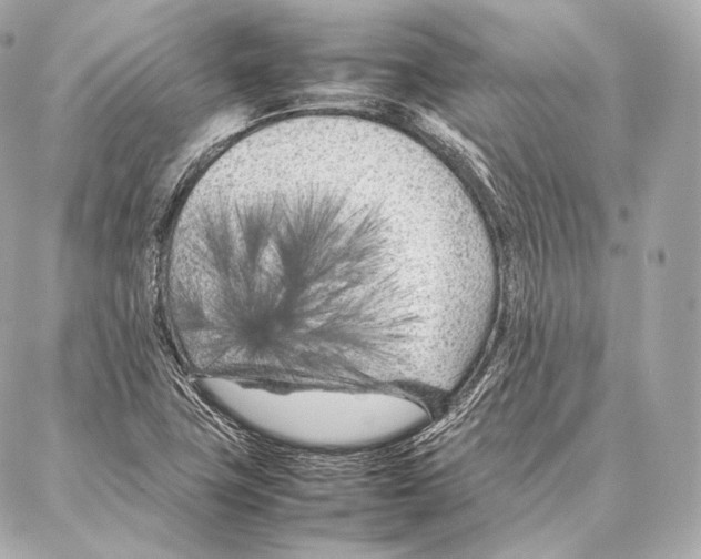 X0000086971411200705141639