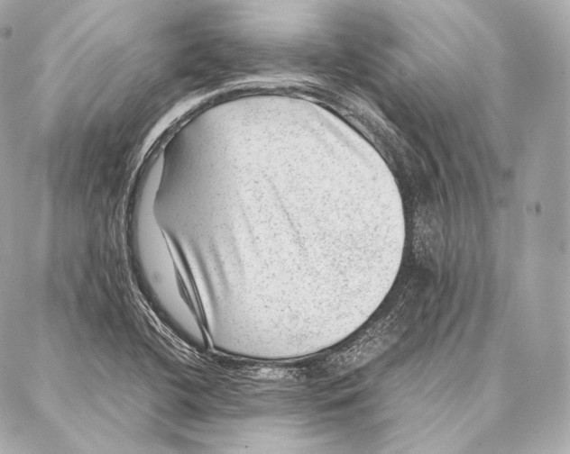 X0000086971412200705141639