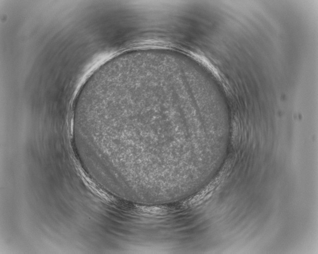 X0000086971413200705141639