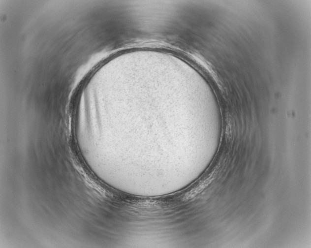 X0000086971414200705141639