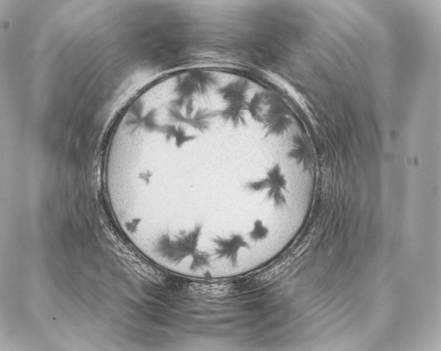 X0000086971415200705141639