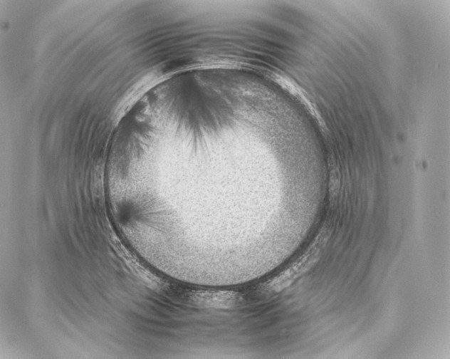 X0000086971417200705141639