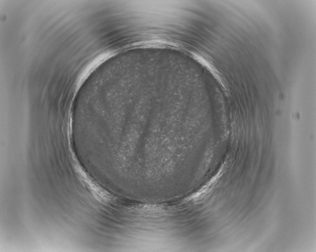 X0000086971418200705141639