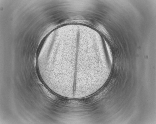 X0000086971420200705141639