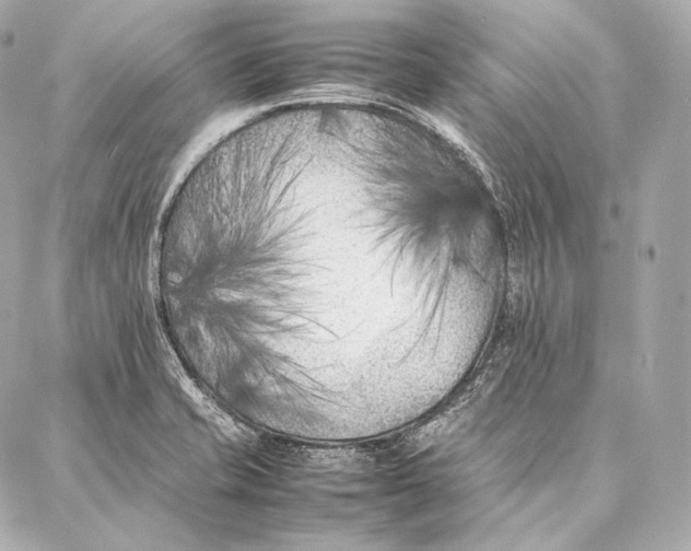 X0000086971421200705141639