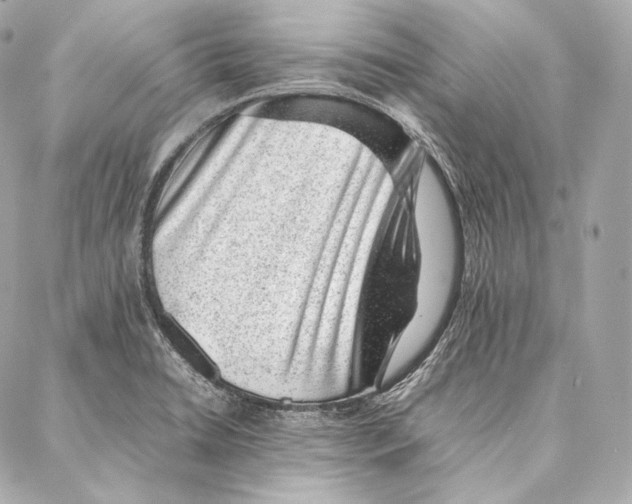 X0000086971422200705141639