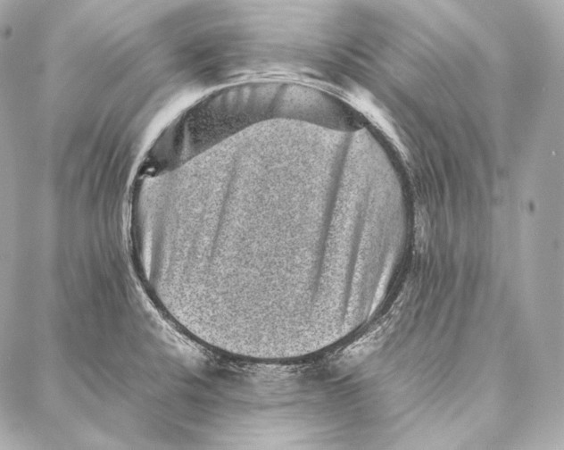 X0000086971424200705141639