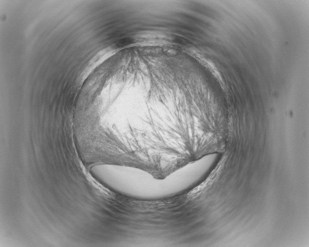 X0000086971425200705141639