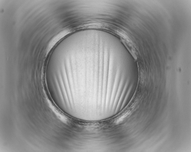 X0000086971426200705141639