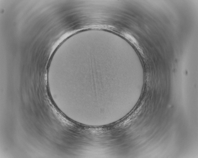 X0000086971428200705141639