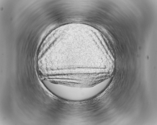 X0000086971432200705141640