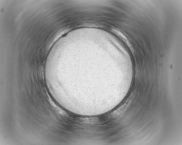 X0000086971433200705141640