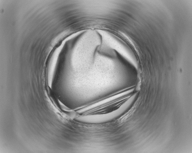 X0000086971434200705141640