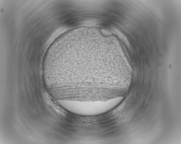 X0000086971435200705141640