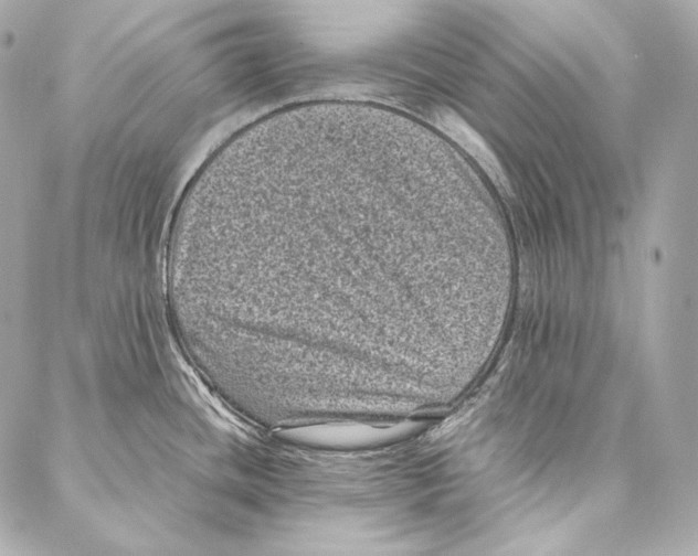 X0000086971436200705141640