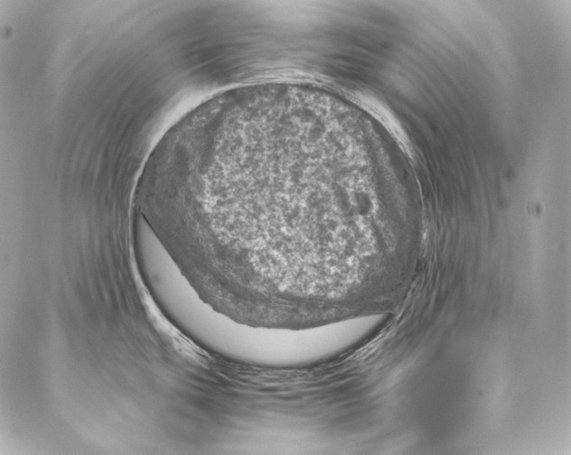 X0000086971439200705141640