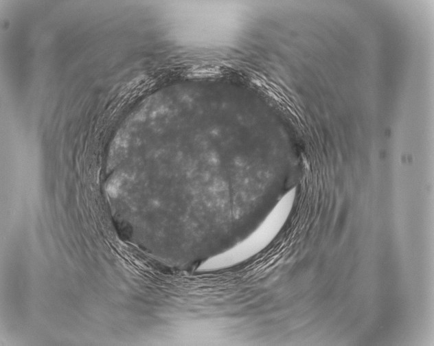 X0000086971441200705141639