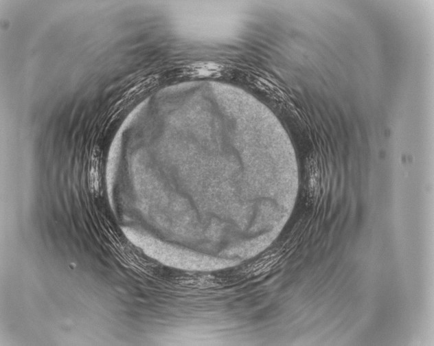 X0000086971442200705141639