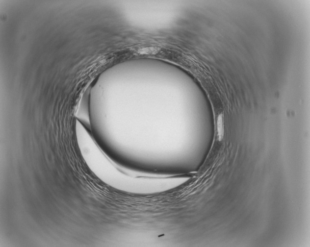 X0000086971443200705141639