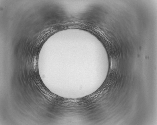 X0000086971444200705141639