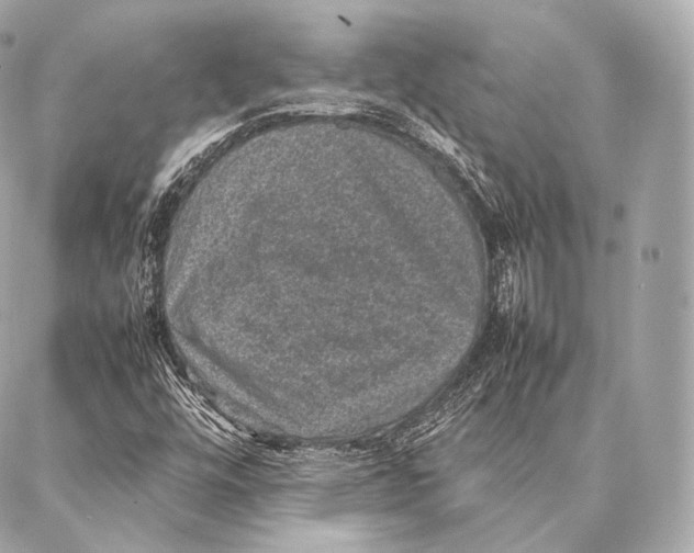 X0000086971448200705141639