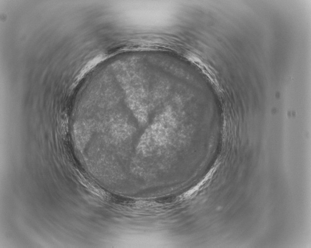 X0000086971449200705141639