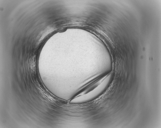 X0000086971450200705141639