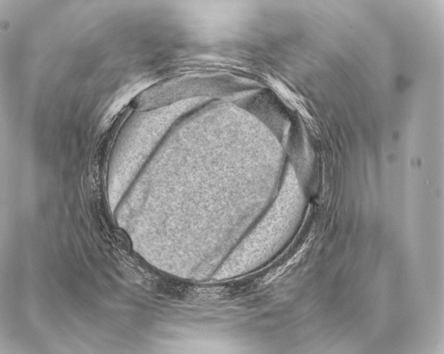 X0000086971453200705141639