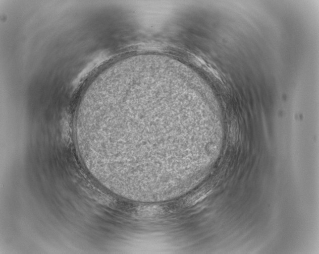 X0000086971454200705141639