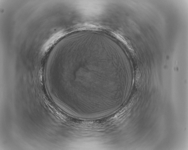 X0000086971455200705141639