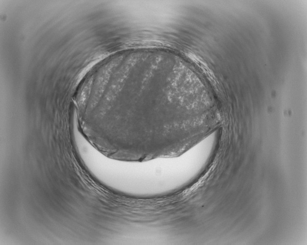 X0000086971457200705141639