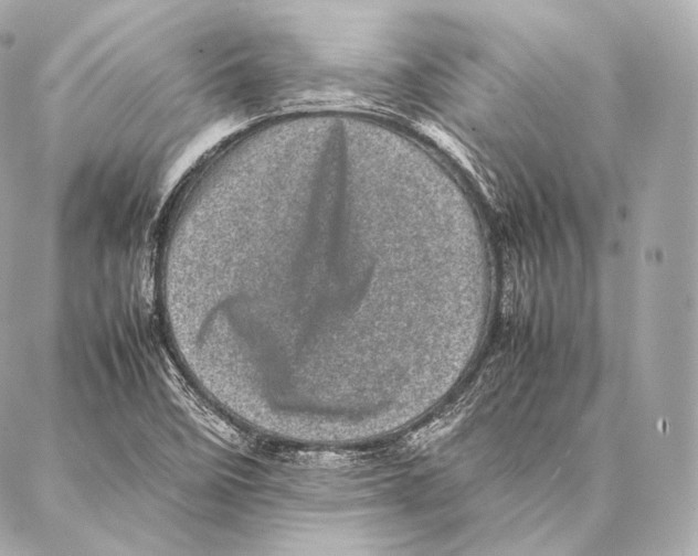 X0000086971458200705141639