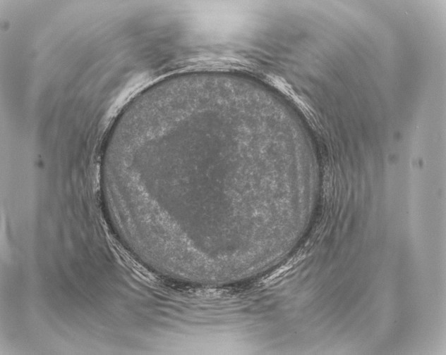 X0000086971459200705141639