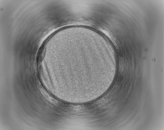 X0000086971460200705141639