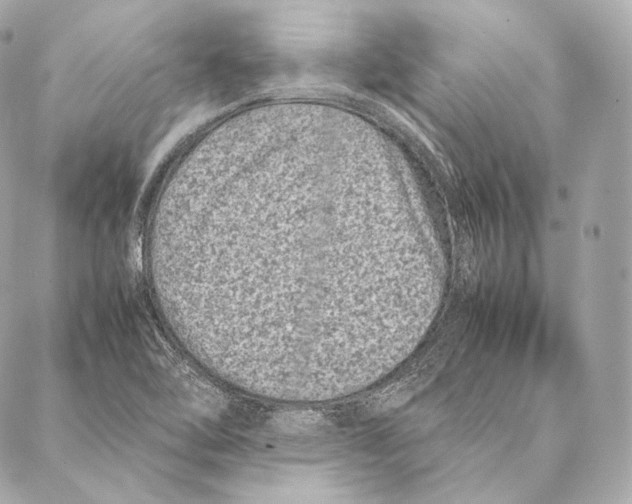 X0000086971462200705141639