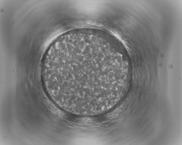 X0000086971463200705141639