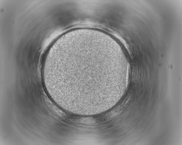 X0000086971464200705141639