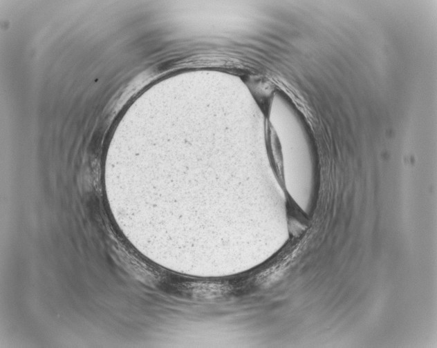 X0000086971465200705141639