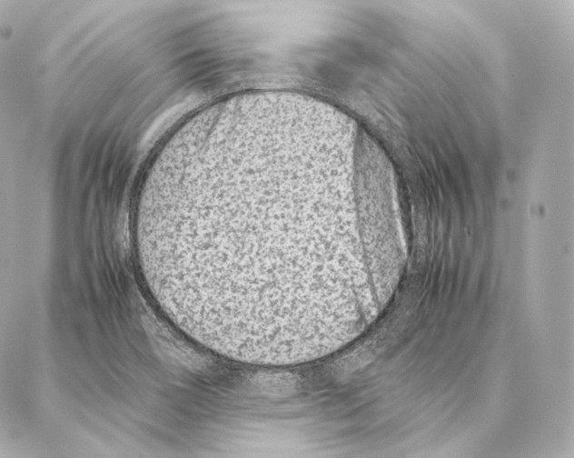 X0000086971466200705141639