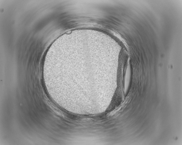 X0000086971467200705141638