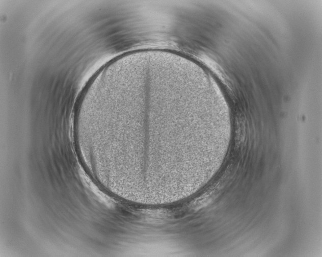 X0000086971468200705141638