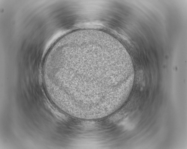 X0000086971470200705141638