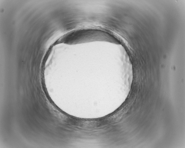 X0000086971471200705141638