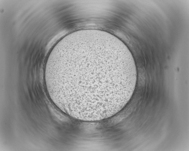 X0000086971474200705141638