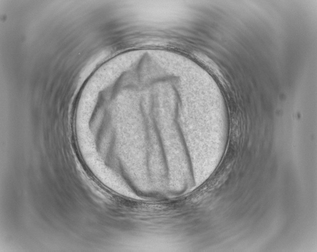 X0000086971475200705141638