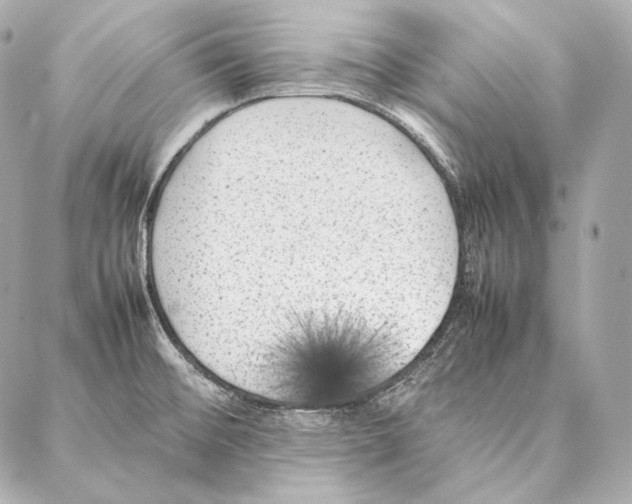 X0000086971476200705141638