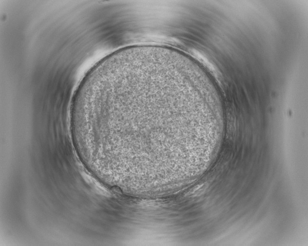 X0000086971480200705141638